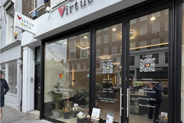 Virtue Vets