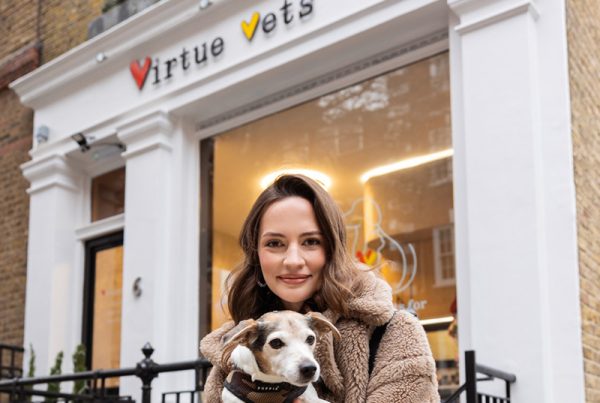Virtue Vets