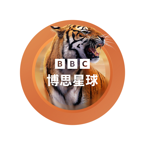 BBC Earth Roundels Tiger-China